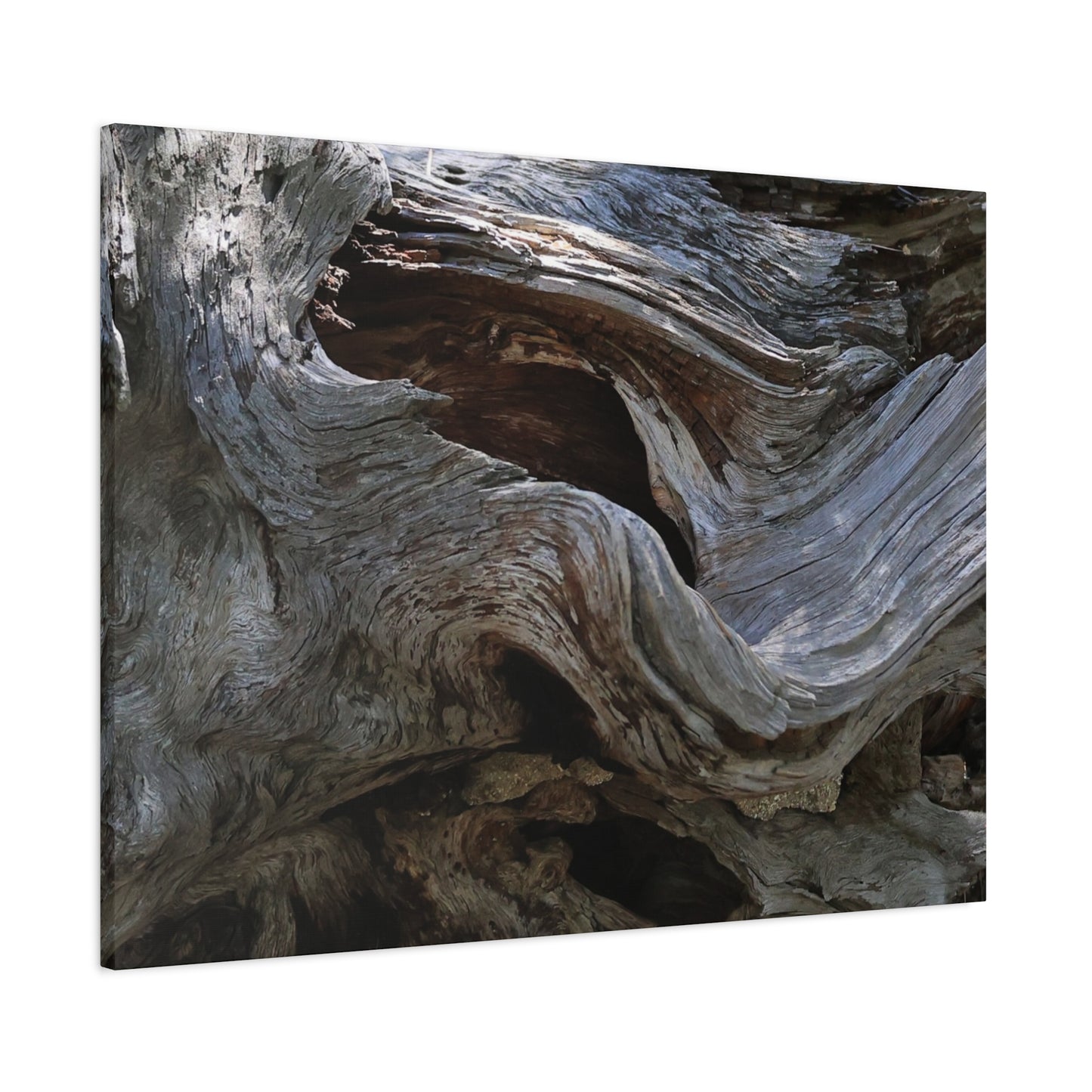 Twisted Fate - Unique Frameless Canvas Wall Art