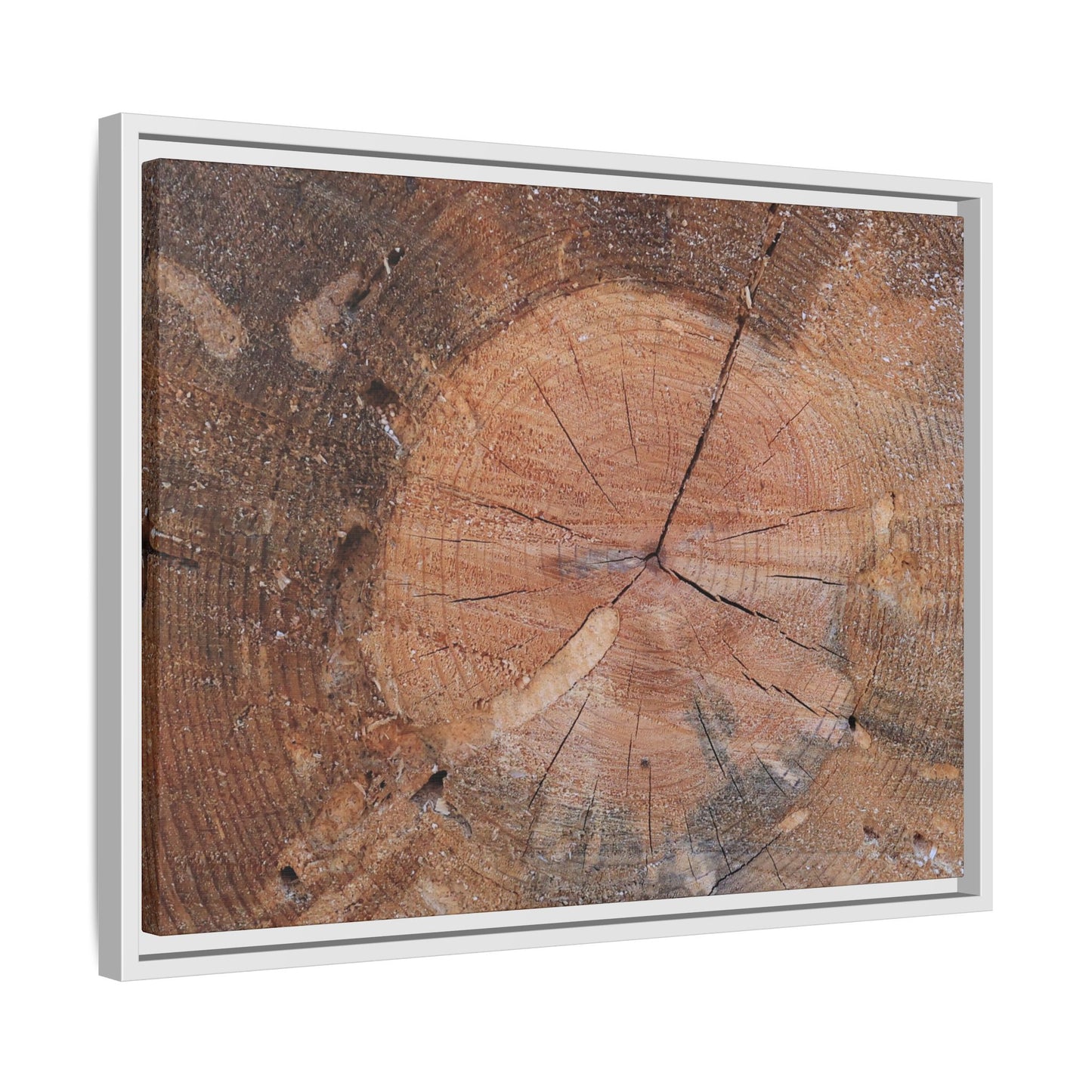 Concentric Memories - Unique Stretched Canvas Wall Art
