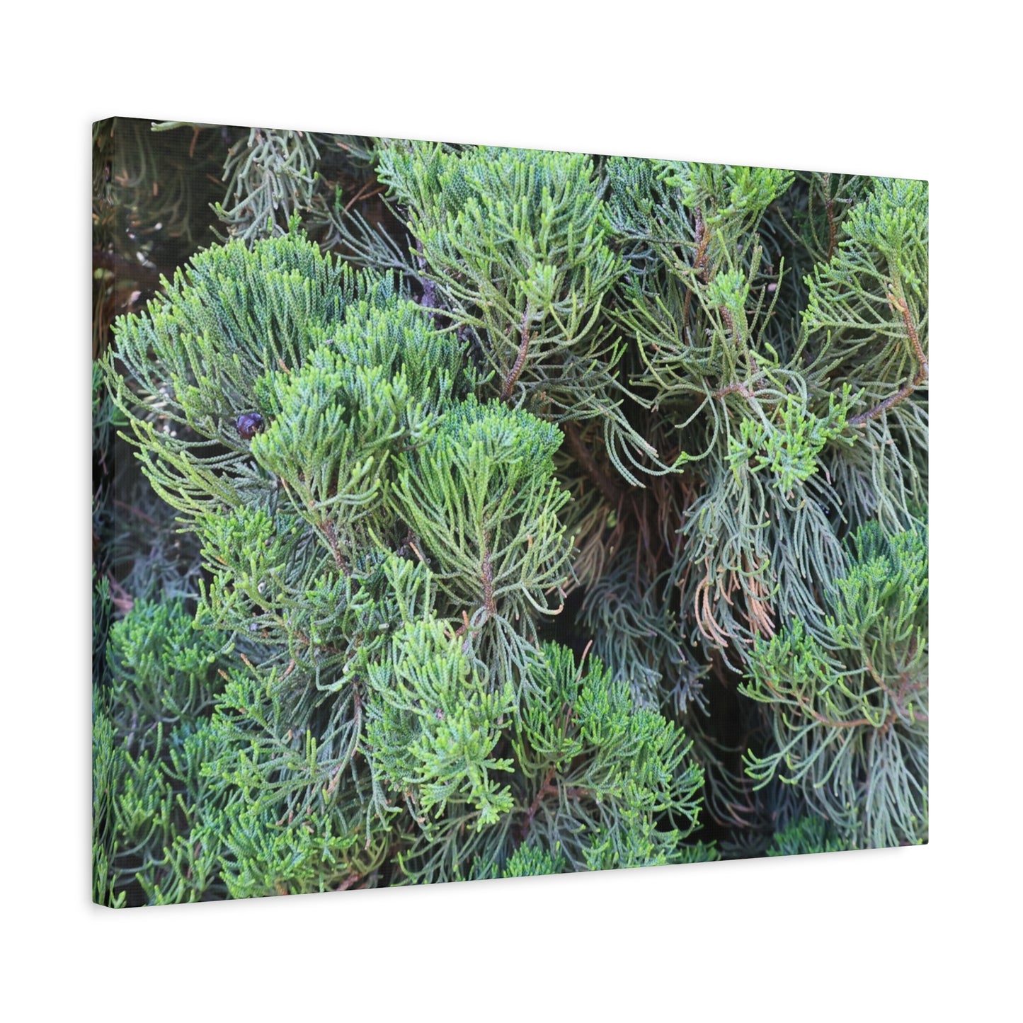 Green Labyrinth - Unique Frameless Canvas Wall Art