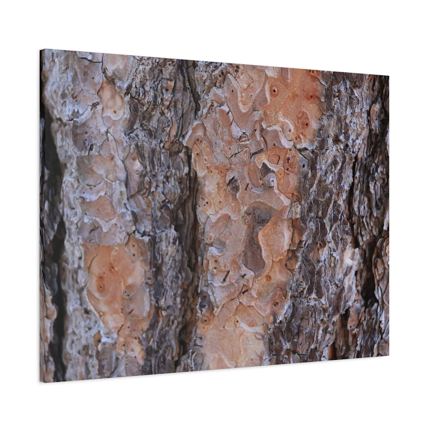 Terracotta Textures - Unique Frameless Canvas Wall Art