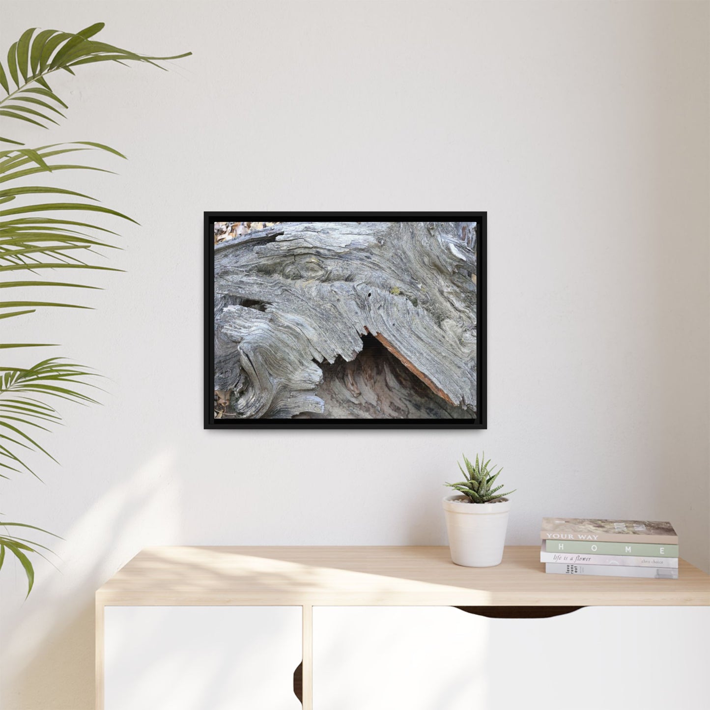 Driftwood Dreams - Unique Stretched Canvas Wall Art