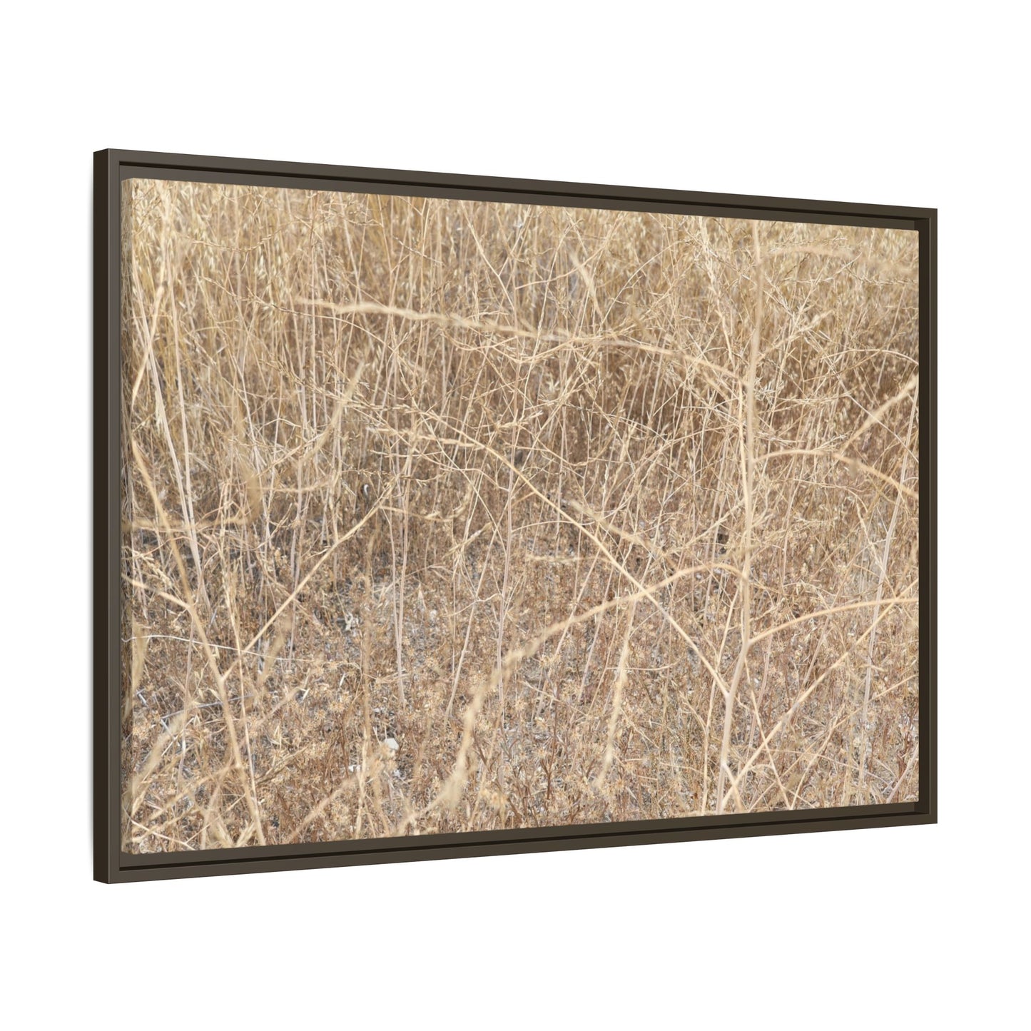 Golden Stalks - Unique Stretched Canvas Wall Art