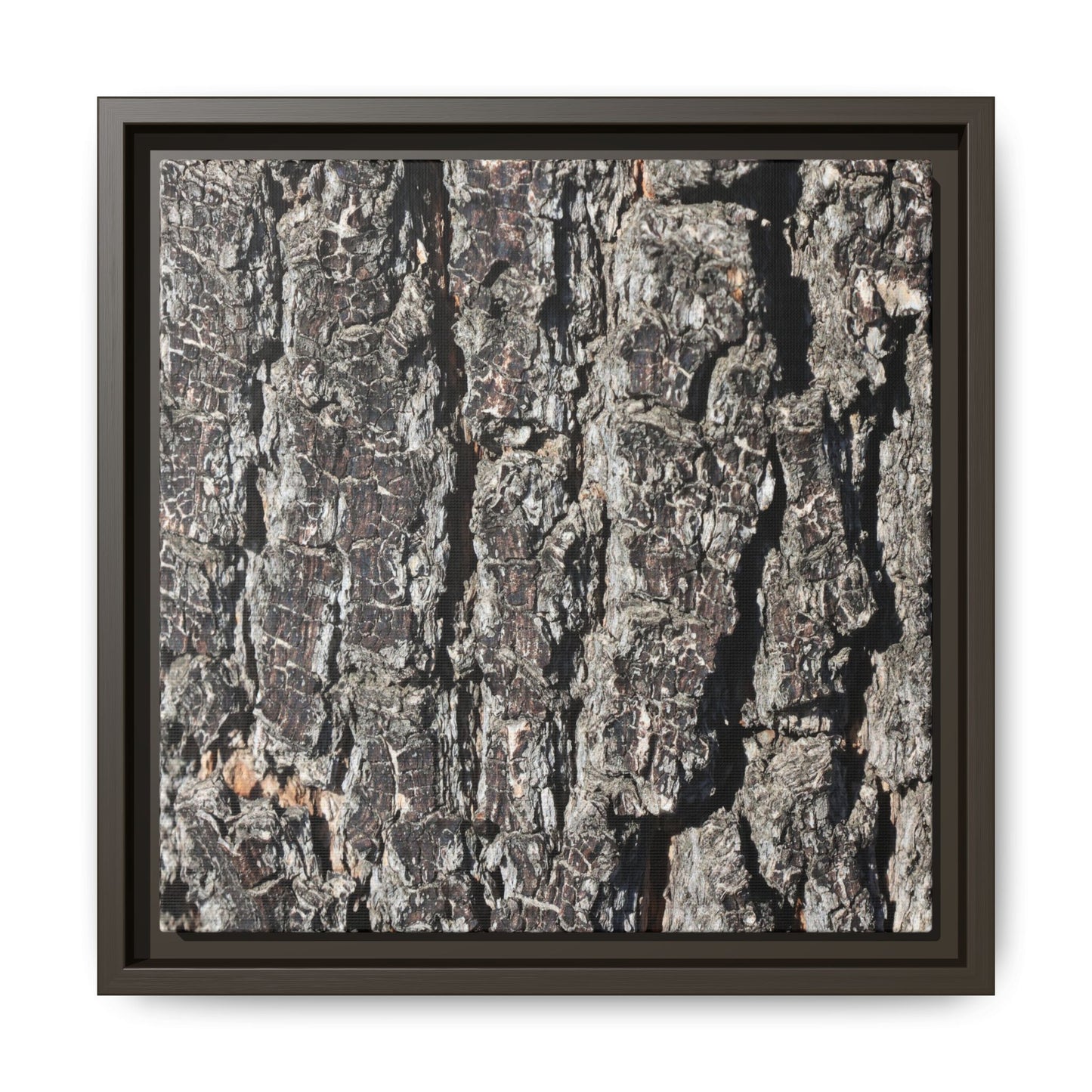 Bark Study in Gray - Unique Stretched Canvas Wall Art