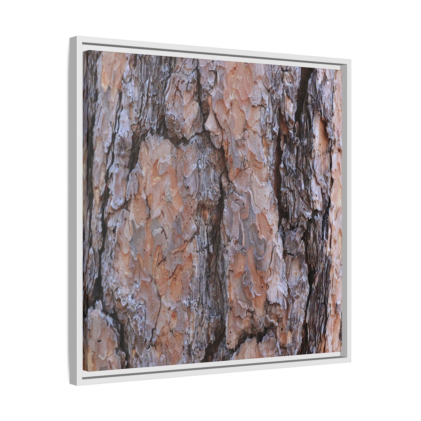 Tree Skin Symphony - Unique Stretched Canvas Wall Art