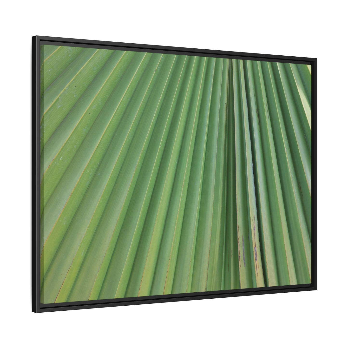 Emerald Rays - Unique Stretched Canvas Wall Art