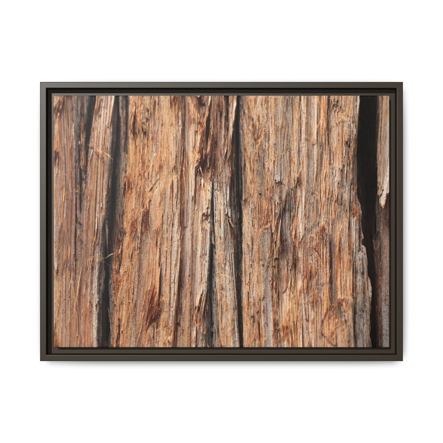 Timber Echoes - Unique Stretched Canvas Wall Art