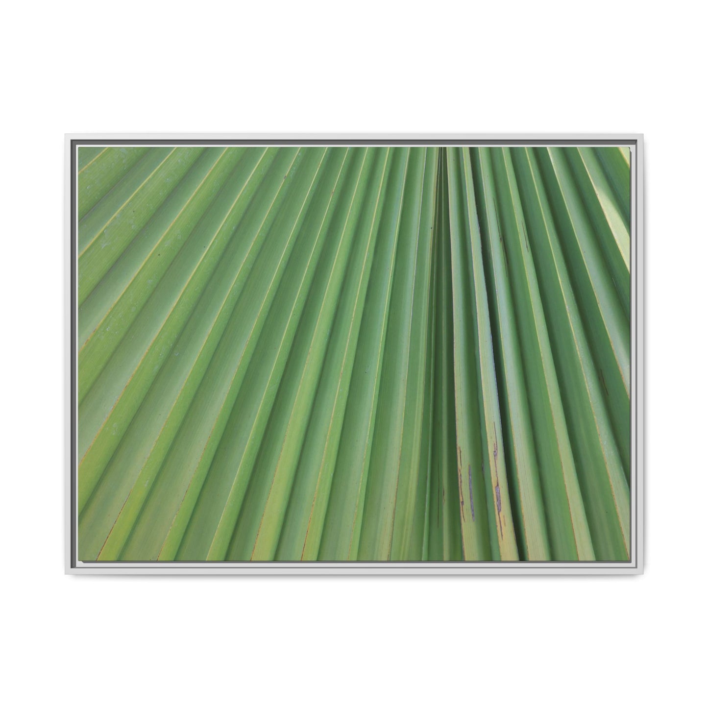 Emerald Rays - Unique Stretched Canvas Wall Art