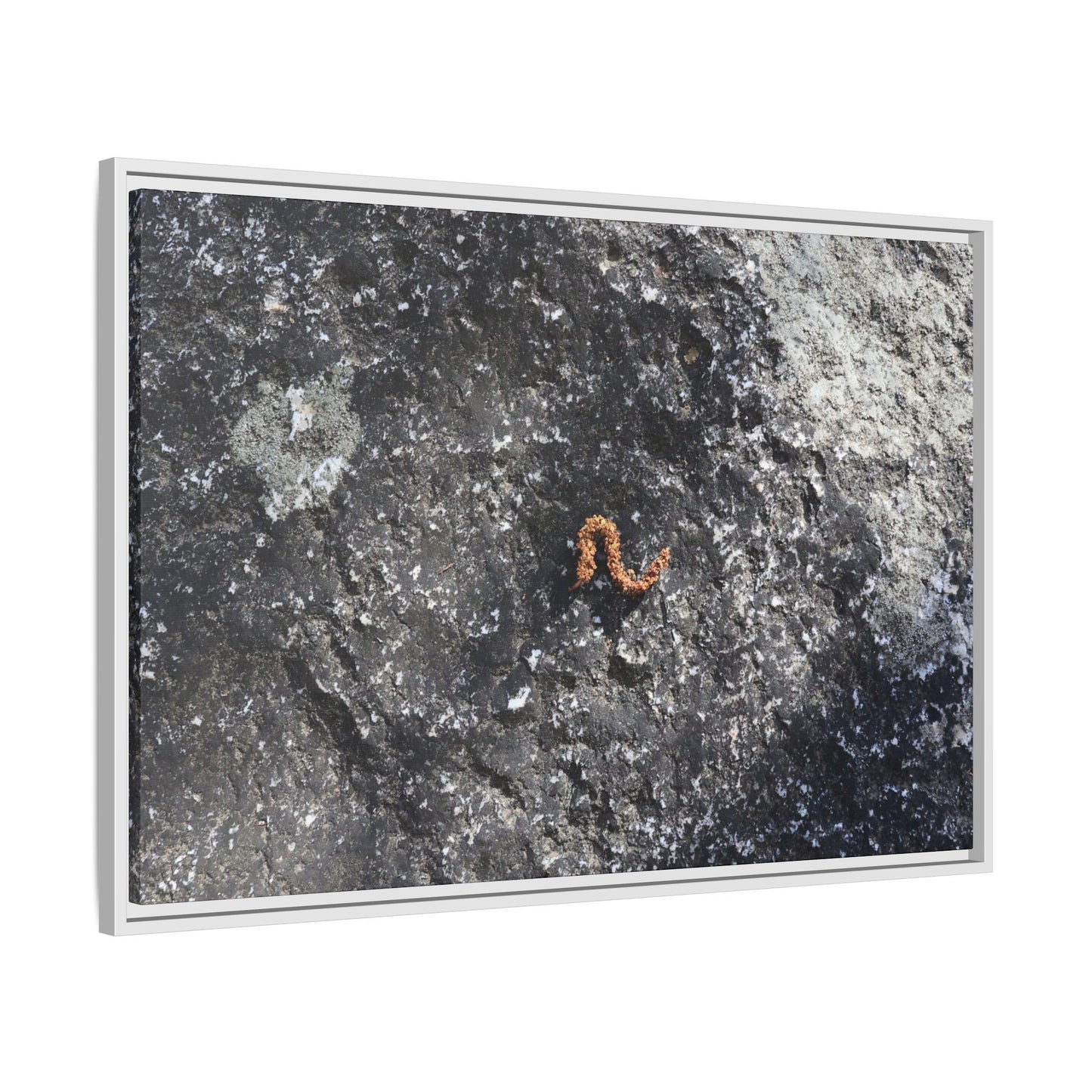 Volcanic Ash and Copper - Unique Stretched Canvas Wall Art