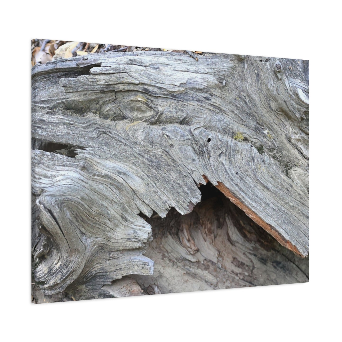 Whispers of Ancient Wood - Unique Frameless Canvas Wall Art