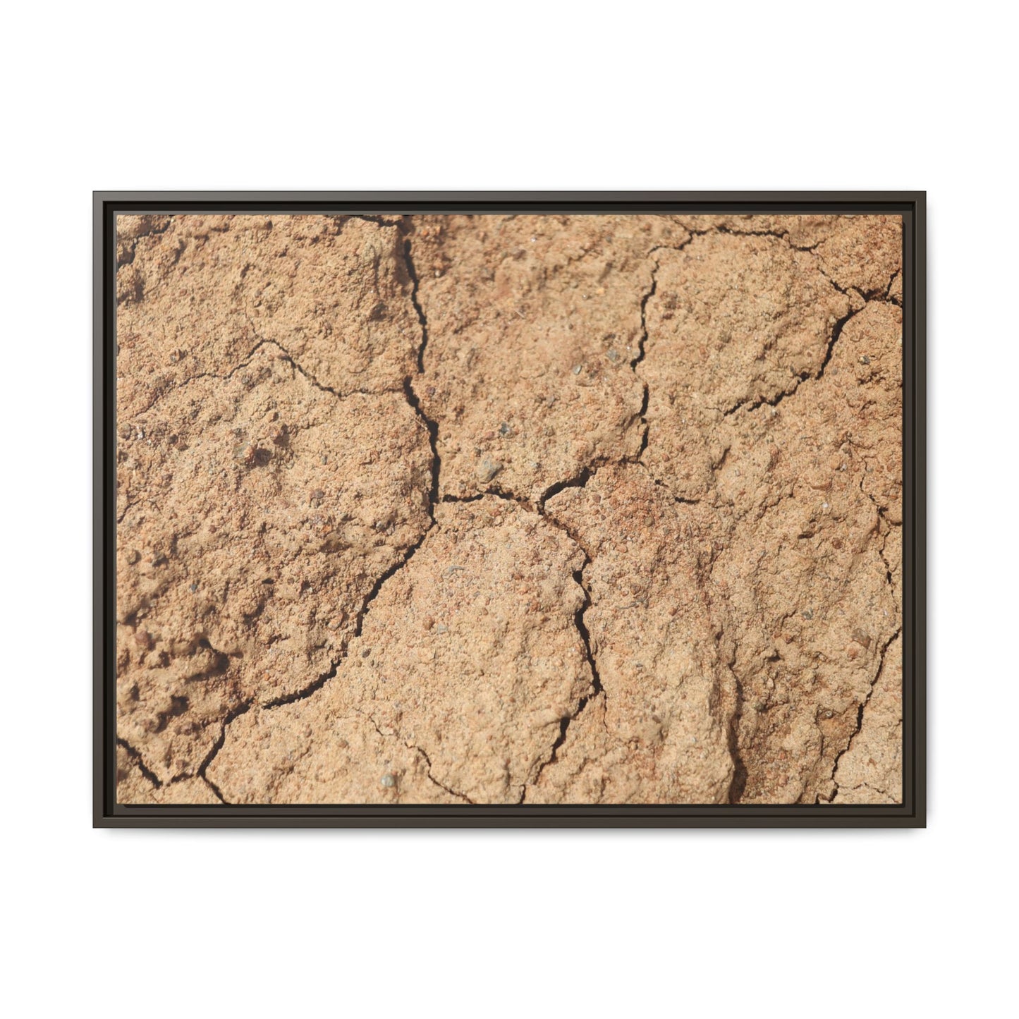 Parched Land - Unique Stretched Canvas Wall Art