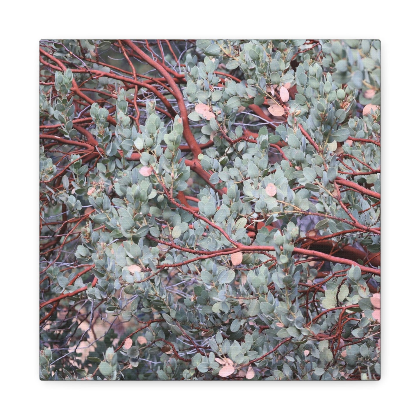 Whispers of Silver and Rust - Unique Frameless Canvas Wall Art