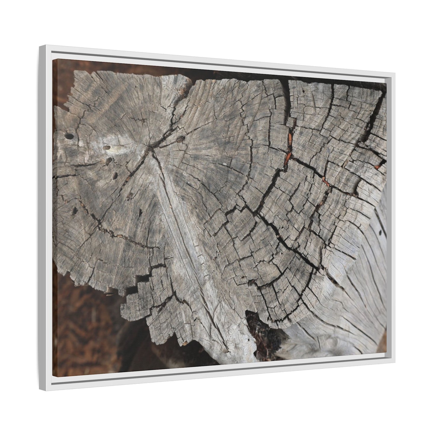 Time's Signature - Unique Stretched Canvas Wall Art