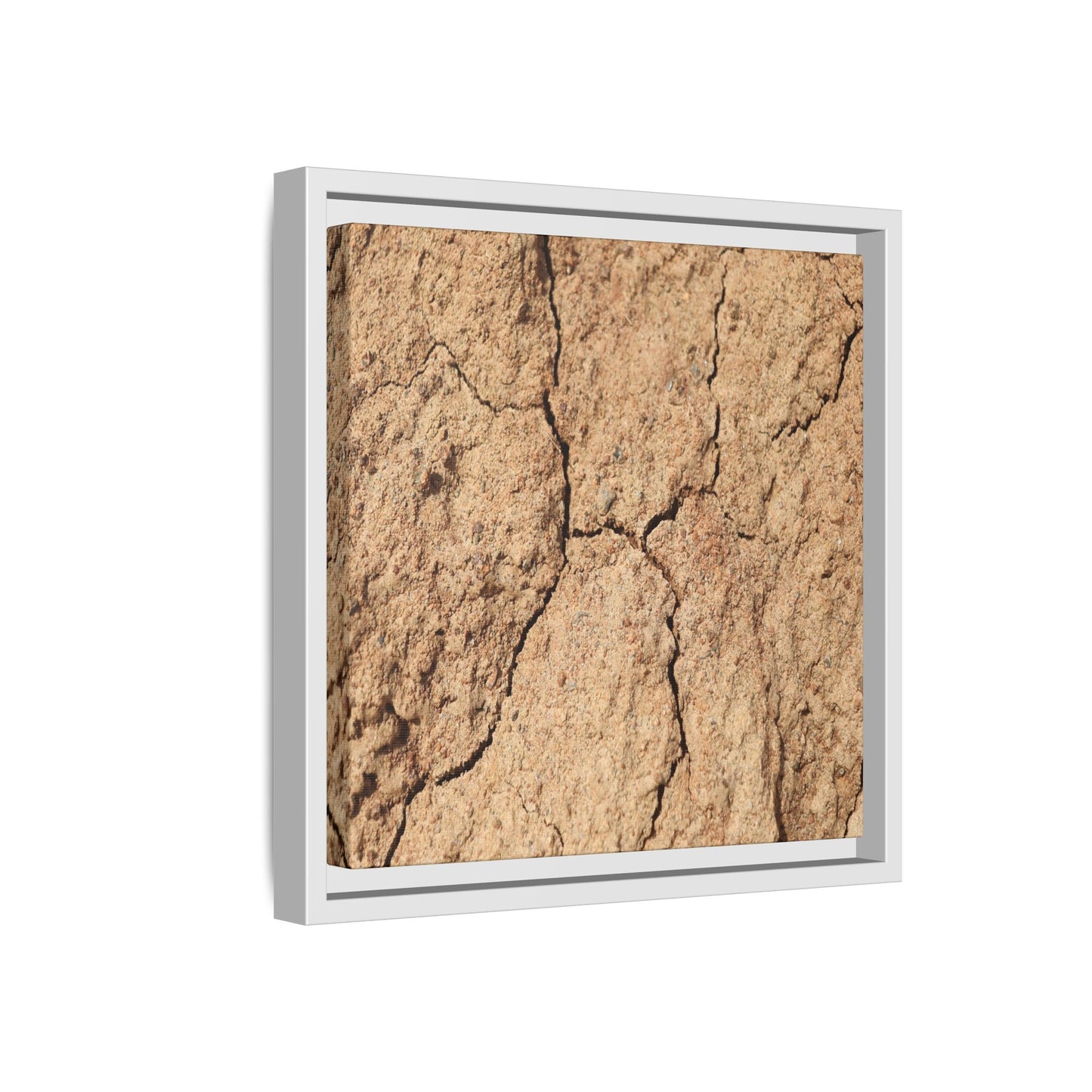 Parched Land - Unique Stretched Canvas Wall Art