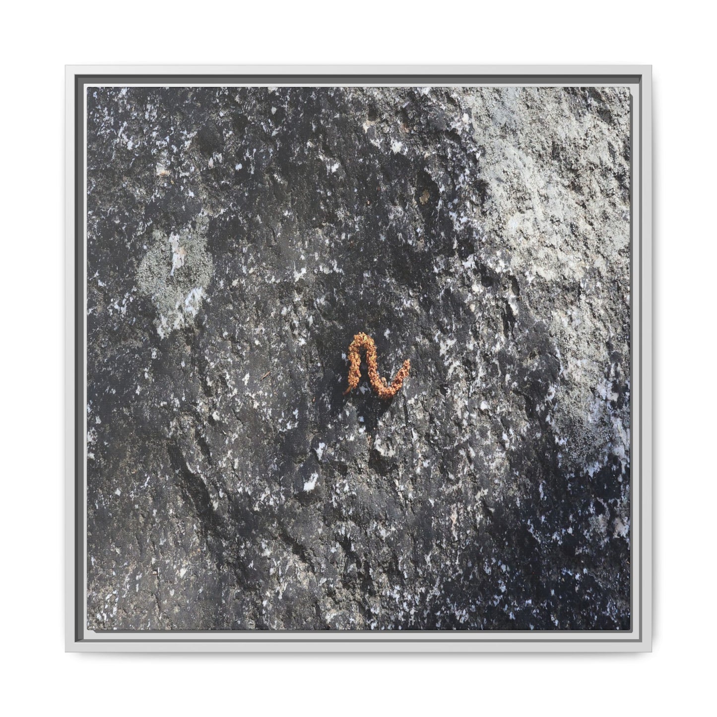 Volcanic Ash and Copper - Unique Stretched Canvas Wall Art