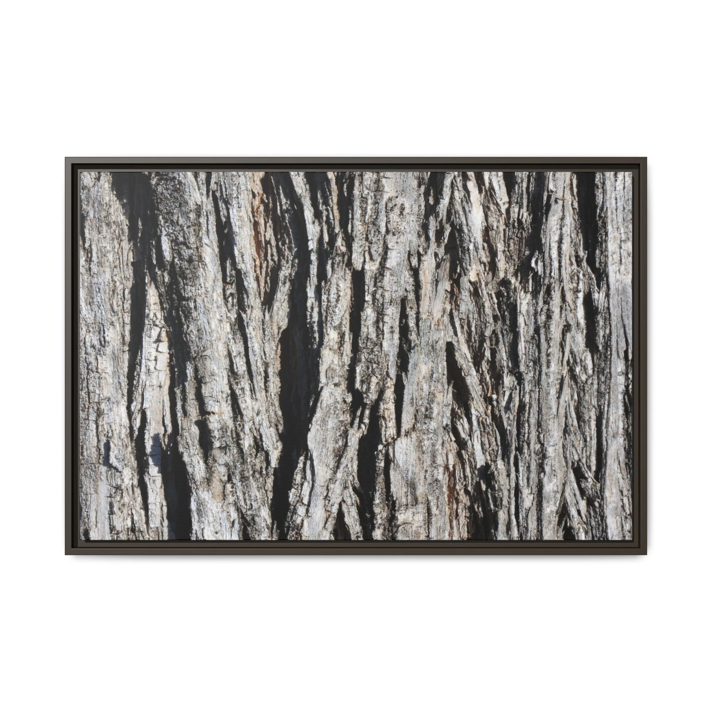 Bark Lines - Unique Stretched Canvas Wall Art