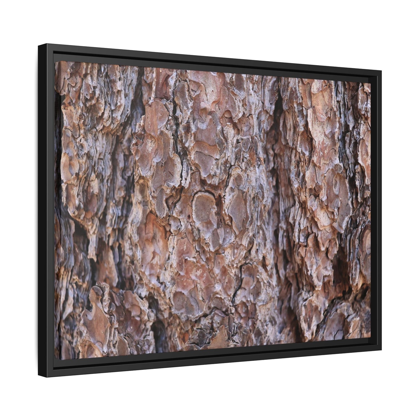 Woody Layers - Unique Stretched Canvas Wall Art