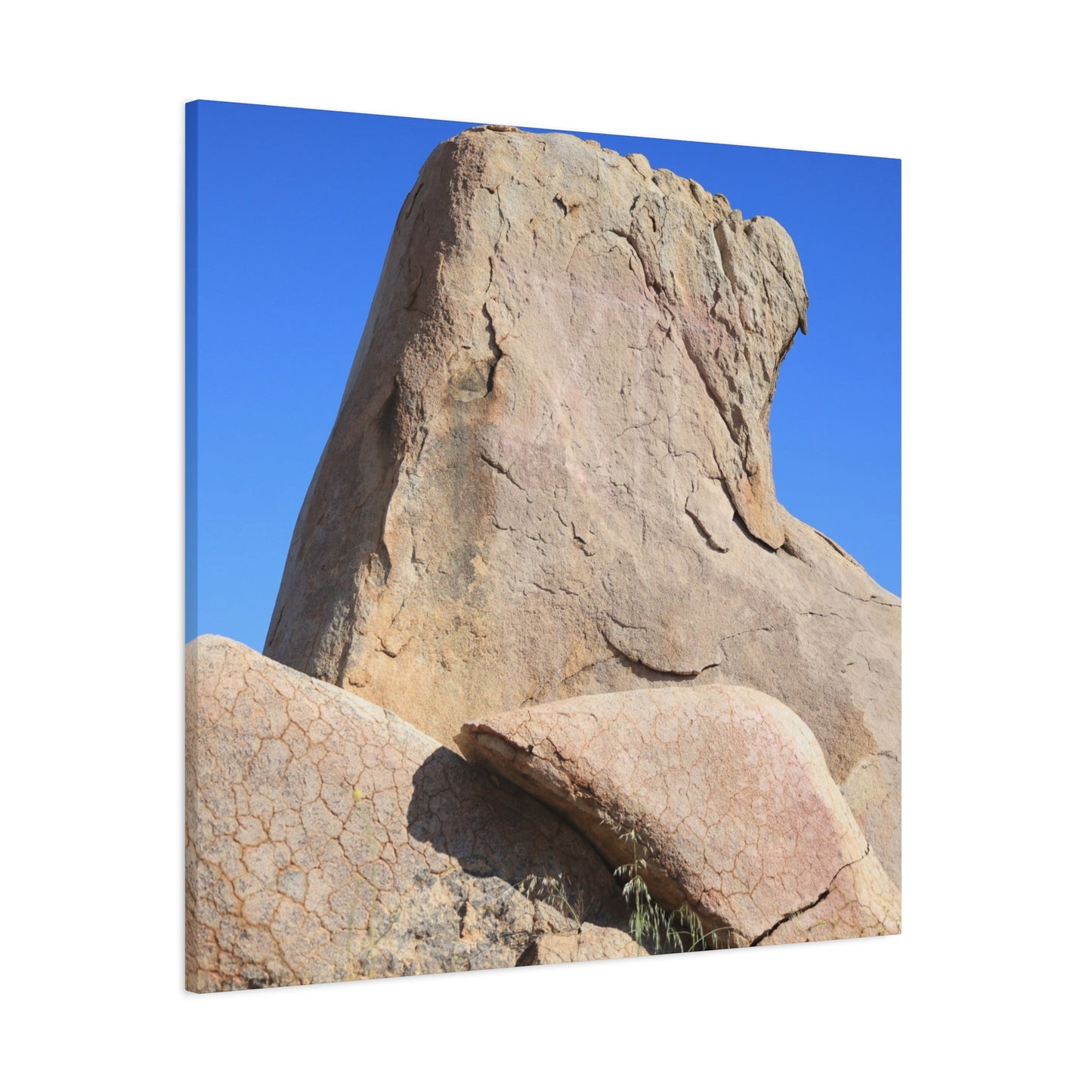 Boulder's Embrace - Unique Frameless Canvas Wall Art