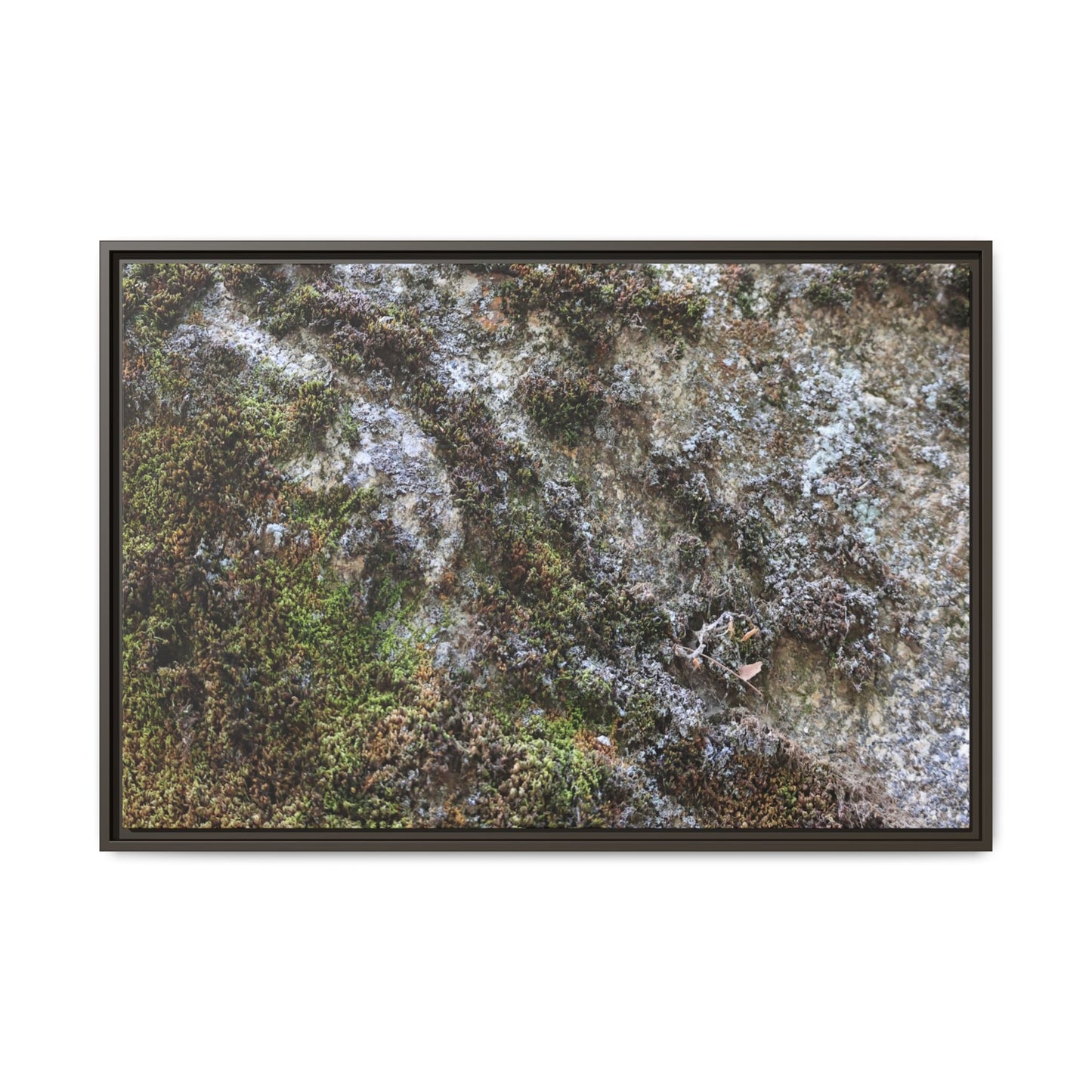 Mossy Whispers - Unique Stretched Canvas Wall Art