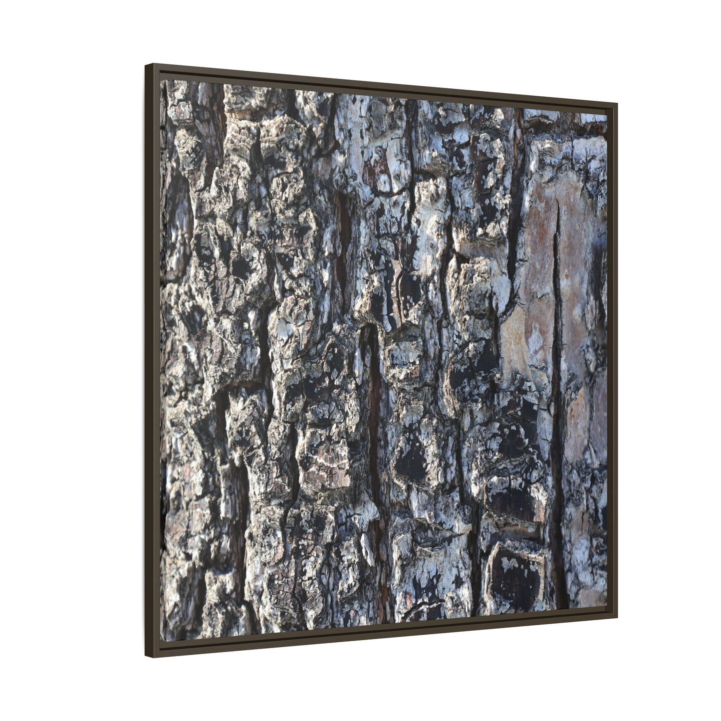 The Bark Chronicles - Unique Stretched Canvas Wall Art