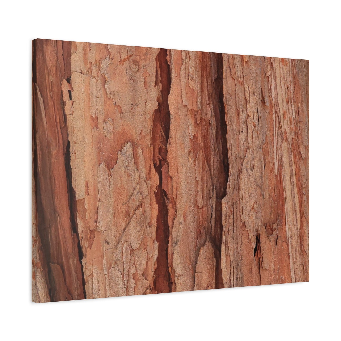 Bark Layers of Time - Unique Frameless Canvas Wall Art