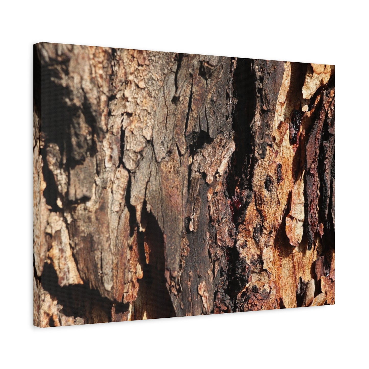 Wooden Terrain - Unique Frameless Canvas Wall Art