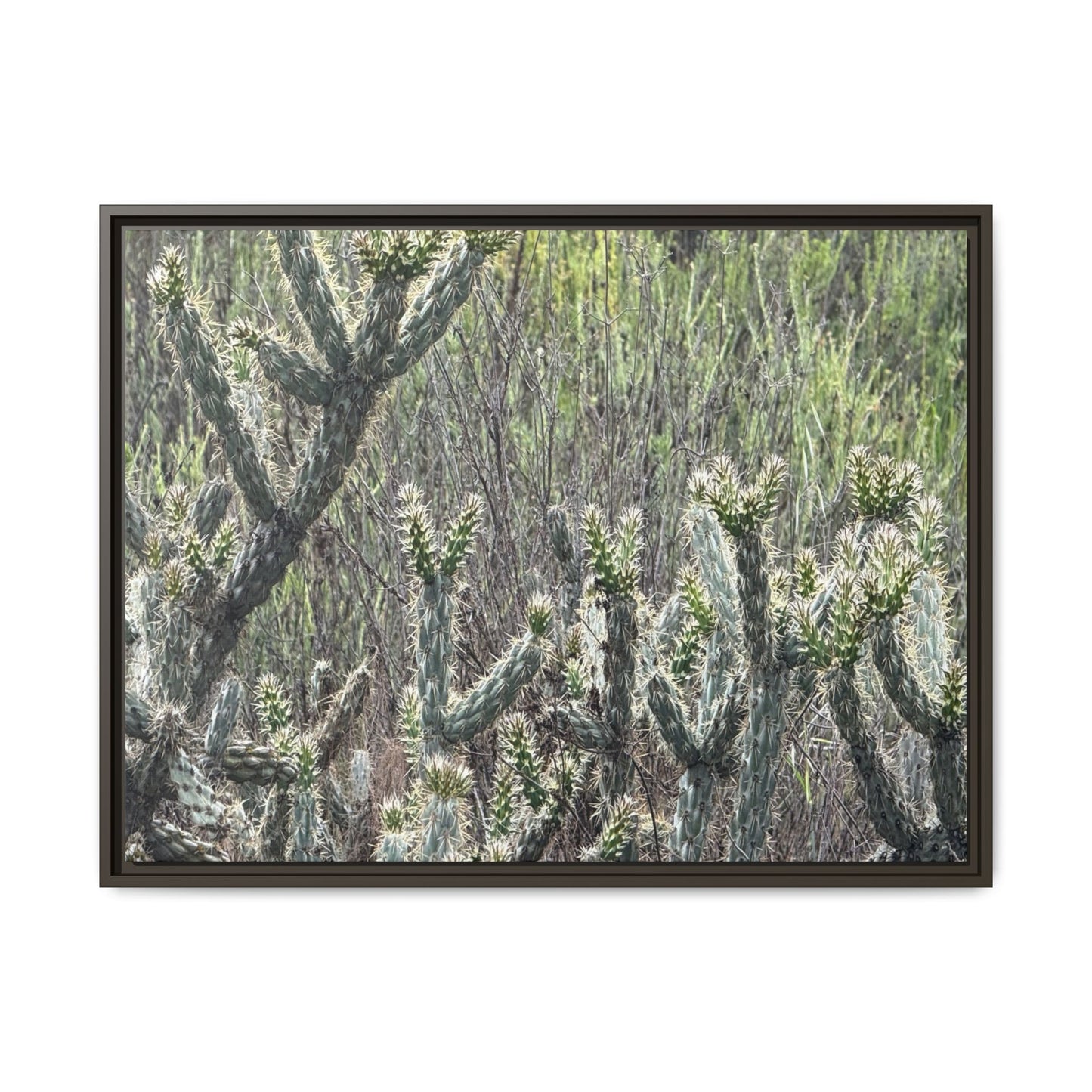 Prickly Paradise - Unique Stretched Canvas Wall Art