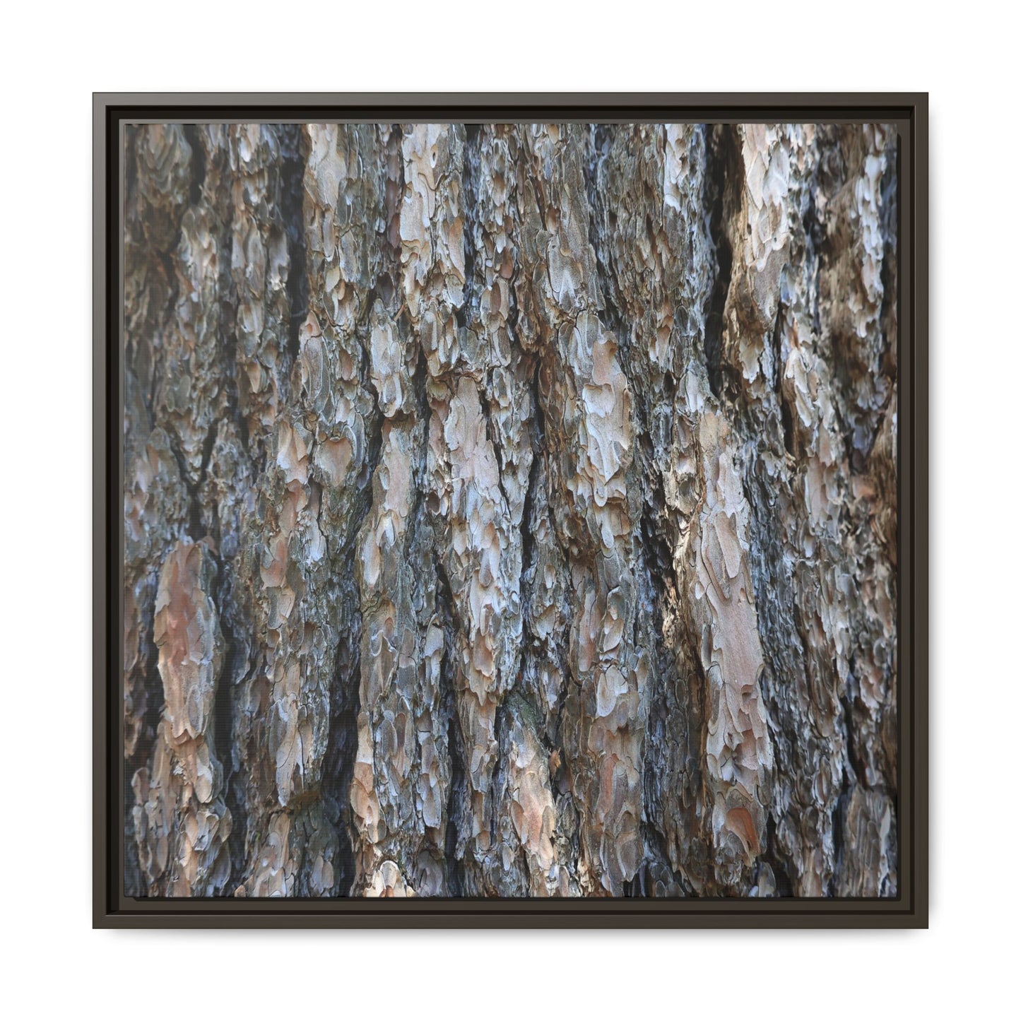 Bark Whispers - Unique Stretched Canvas Wall Art