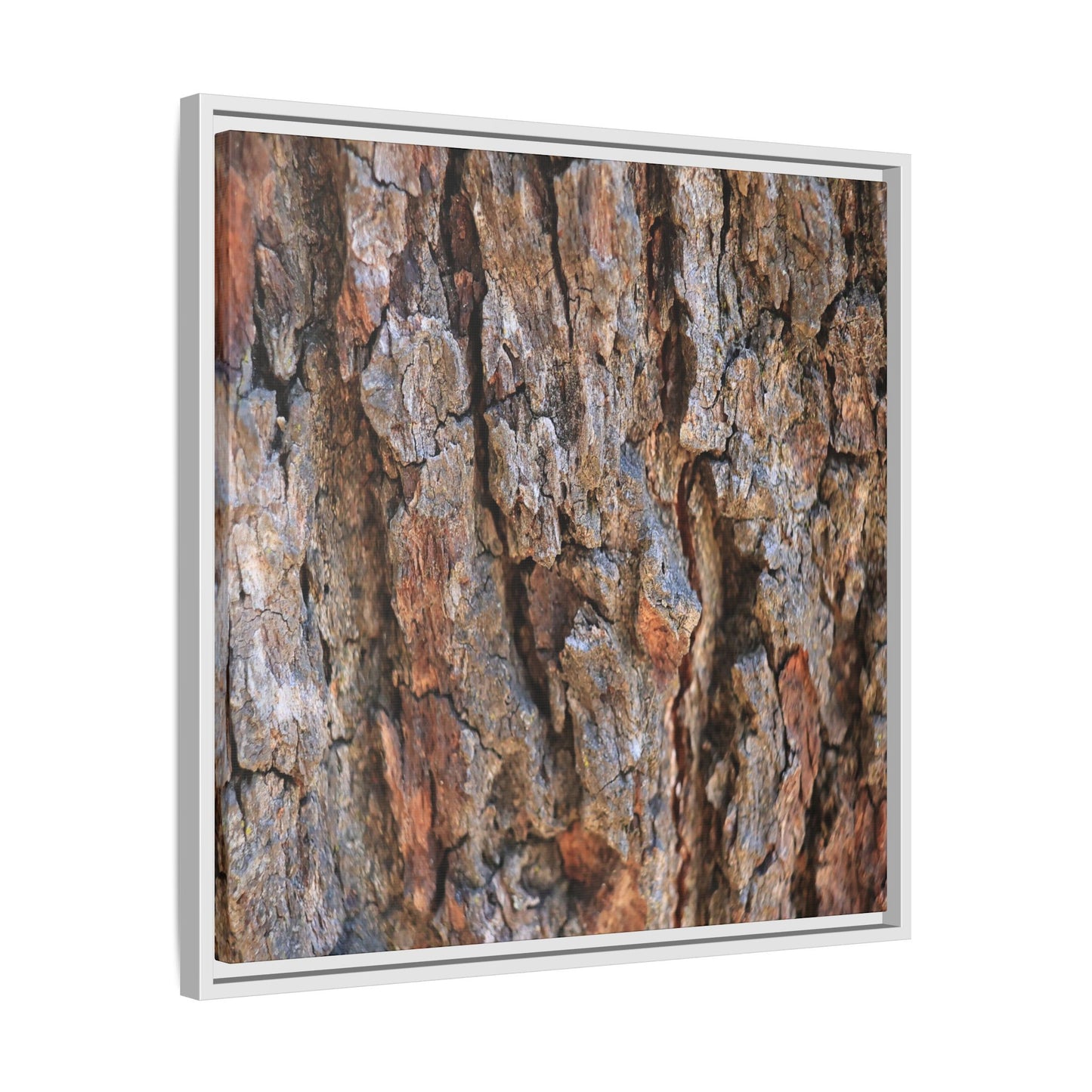 Craggy Textures - Unique Stretched Canvas Wall Art