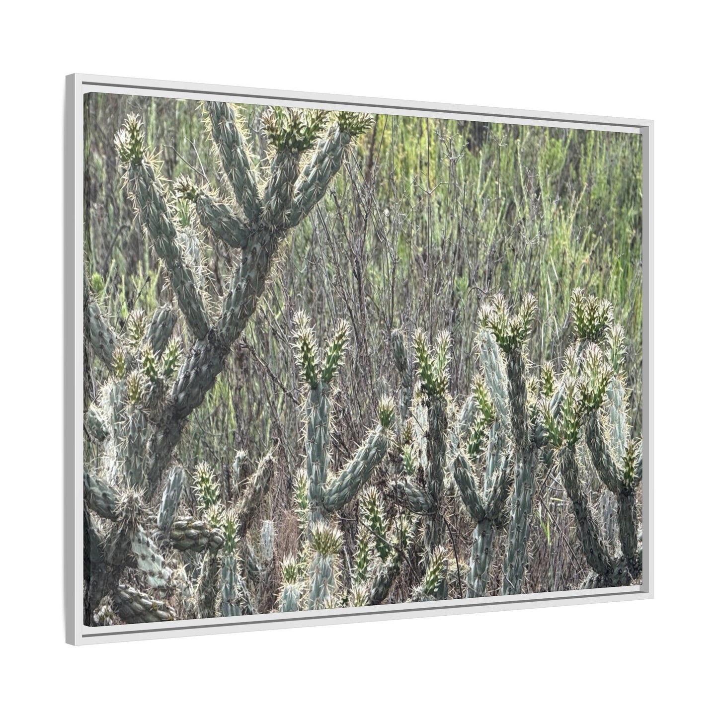 Prickly Paradise - Unique Stretched Canvas Wall Art