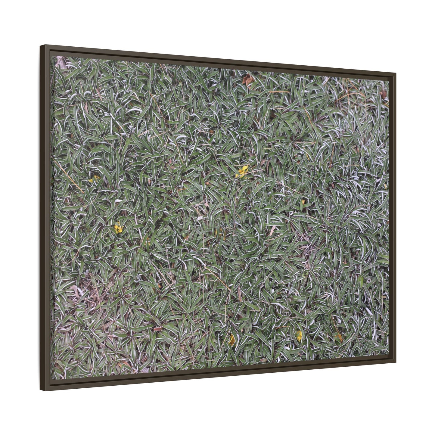Grassy Texture - Unique Stretched Canvas Wall Art