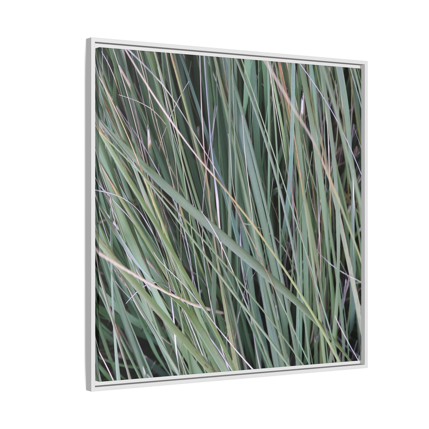 Grassland Symphony - Unique Stretched Canvas Wall Art