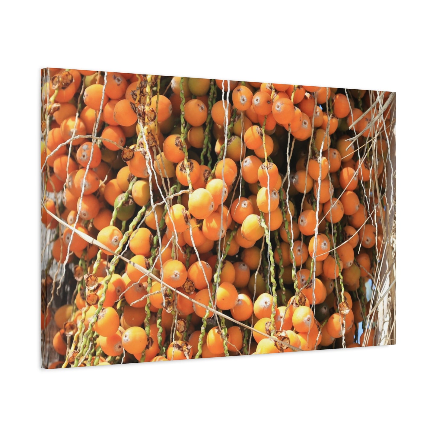 Orange Harvest - Unique Frameless Canvas Wall Art
