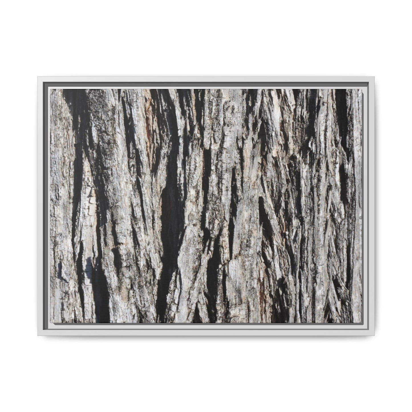 Bark Lines - Unique Stretched Canvas Wall Art