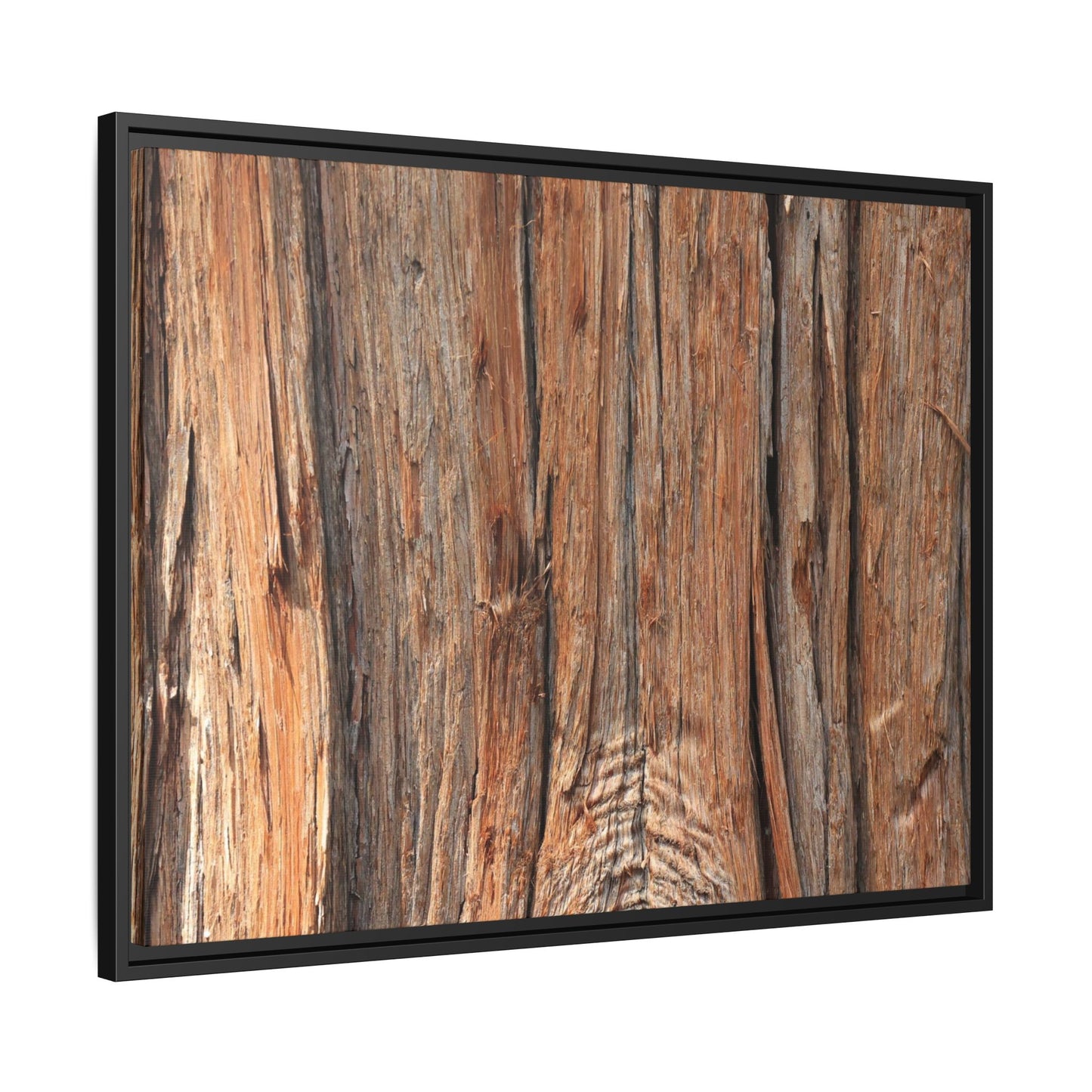 Echoes of Timber - Unique Stretched Canvas Wall Art