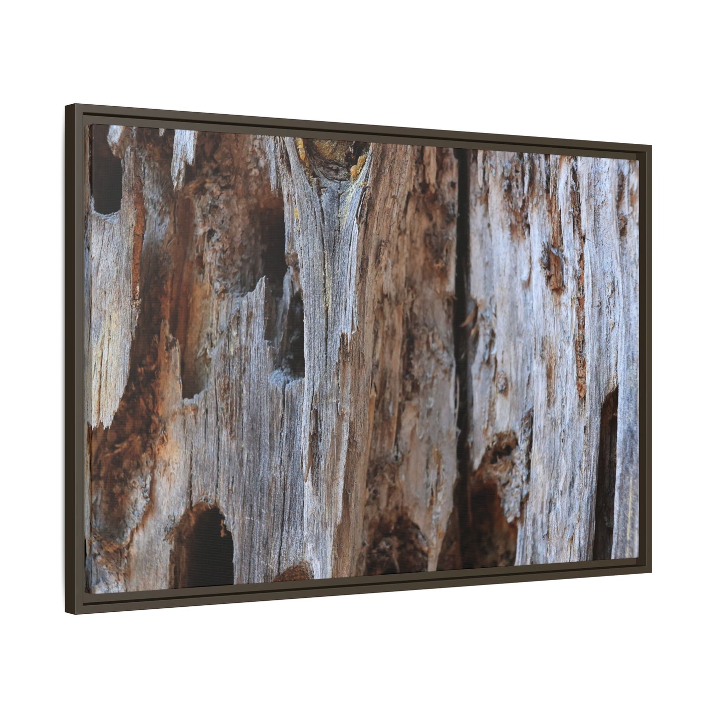 Decaying Splendor - Unique Stretched Canvas Wall Art