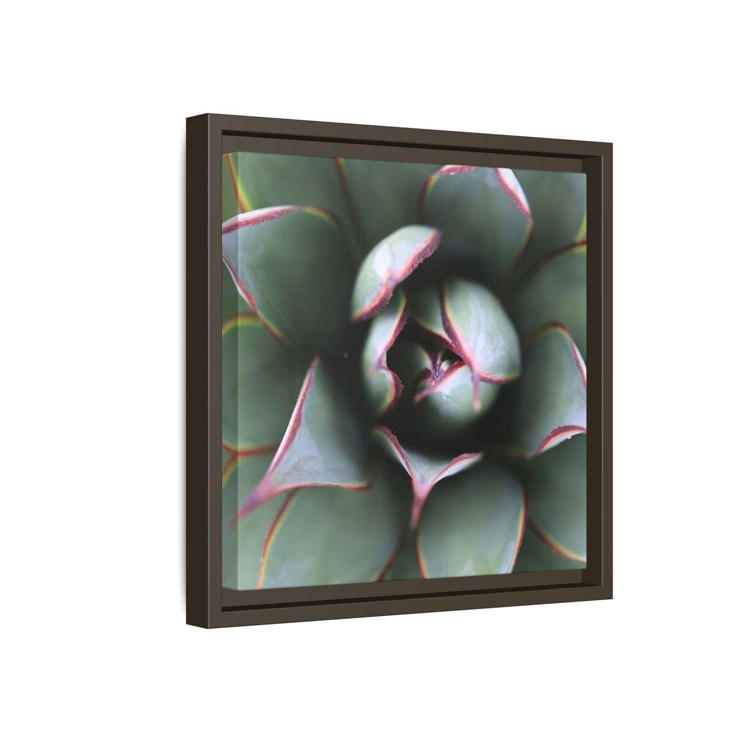 Spiky Elegance - Unique Stretched Canvas Wall Art
