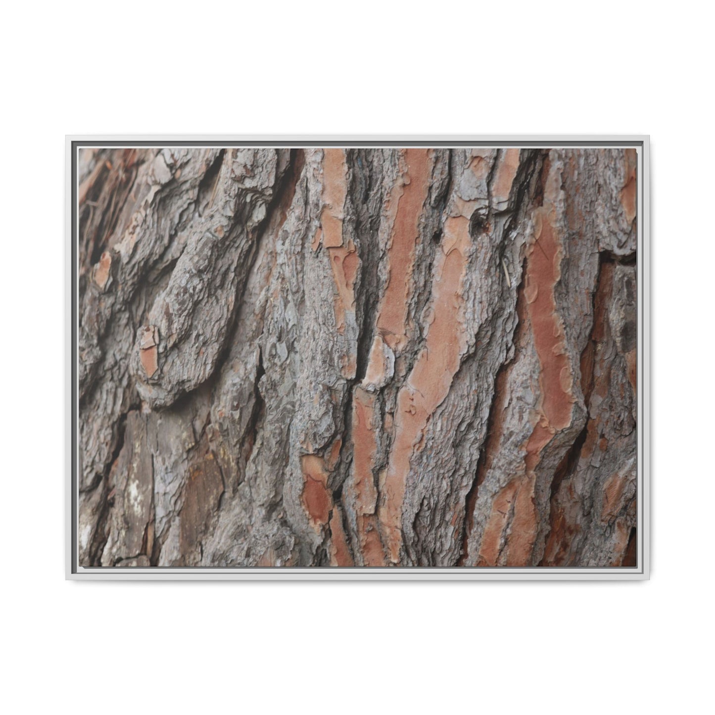 Woodland Layers - Unique Stretched Canvas Wall Art