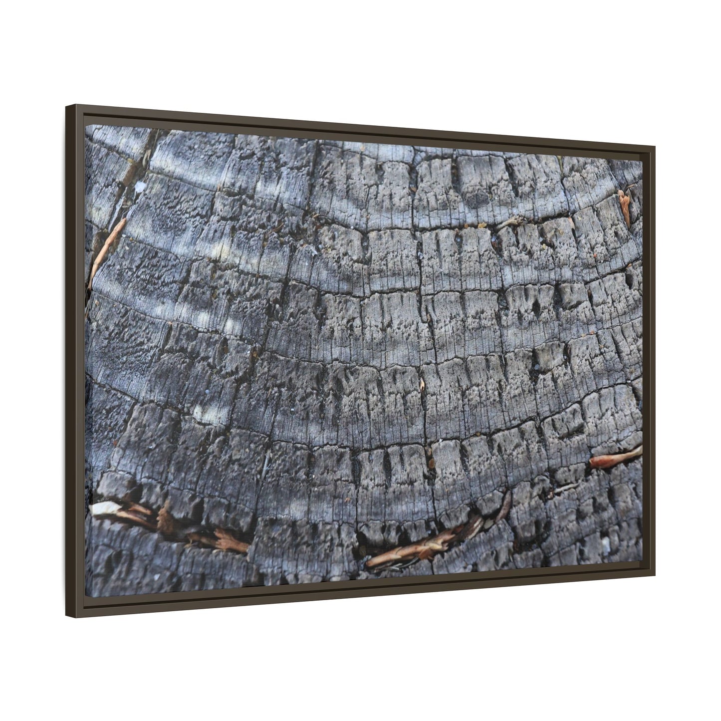 Charred Memories - Unique Stretched Canvas Wall Art
