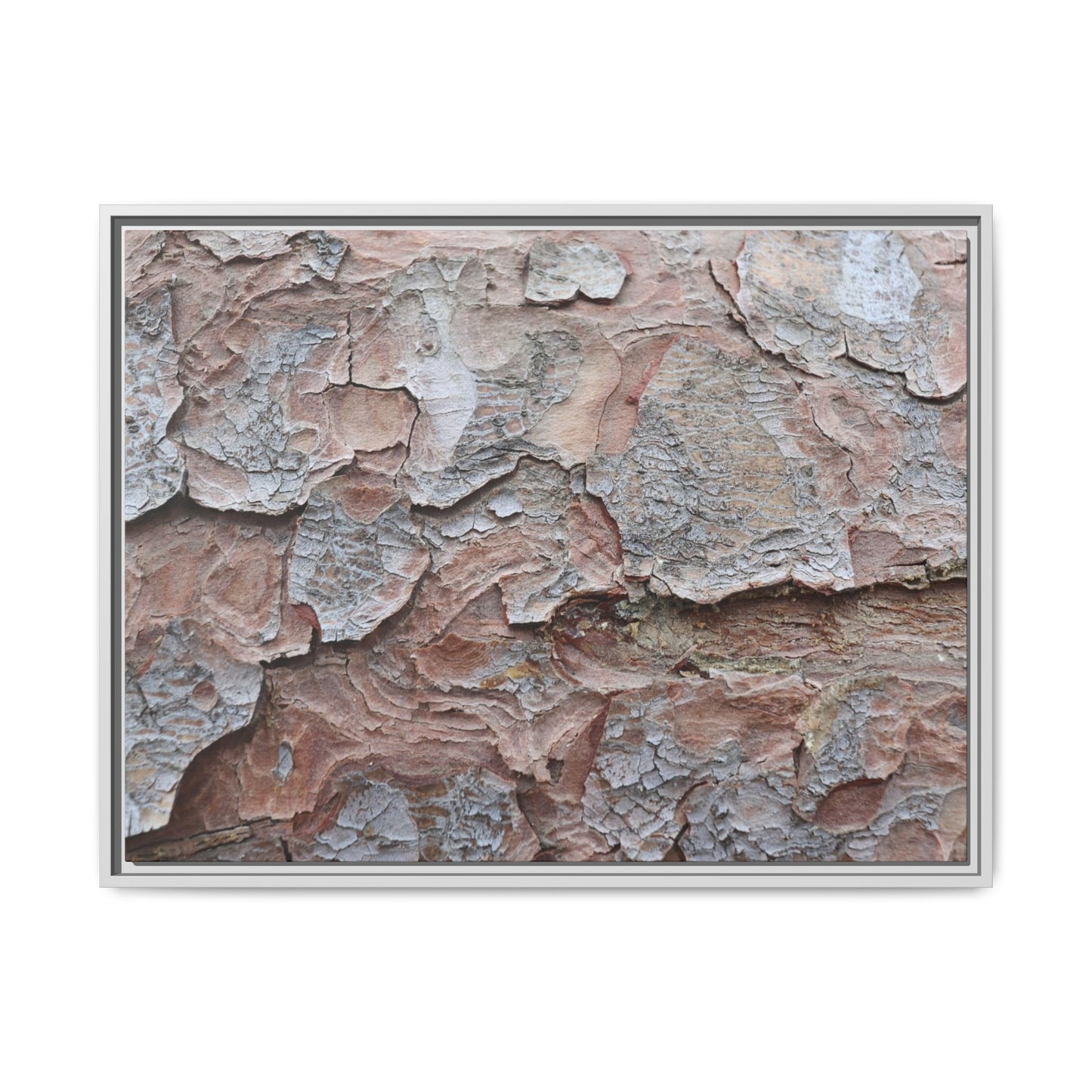 Flaking Serenity - Unique Stretched Canvas Wall Art