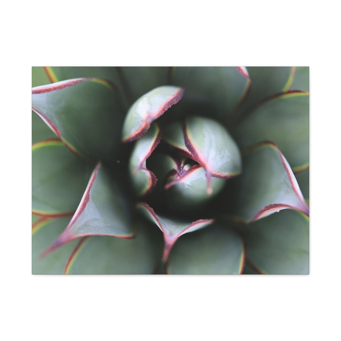 Emerald Spiral - Unique Frameless Canvas Wall Art