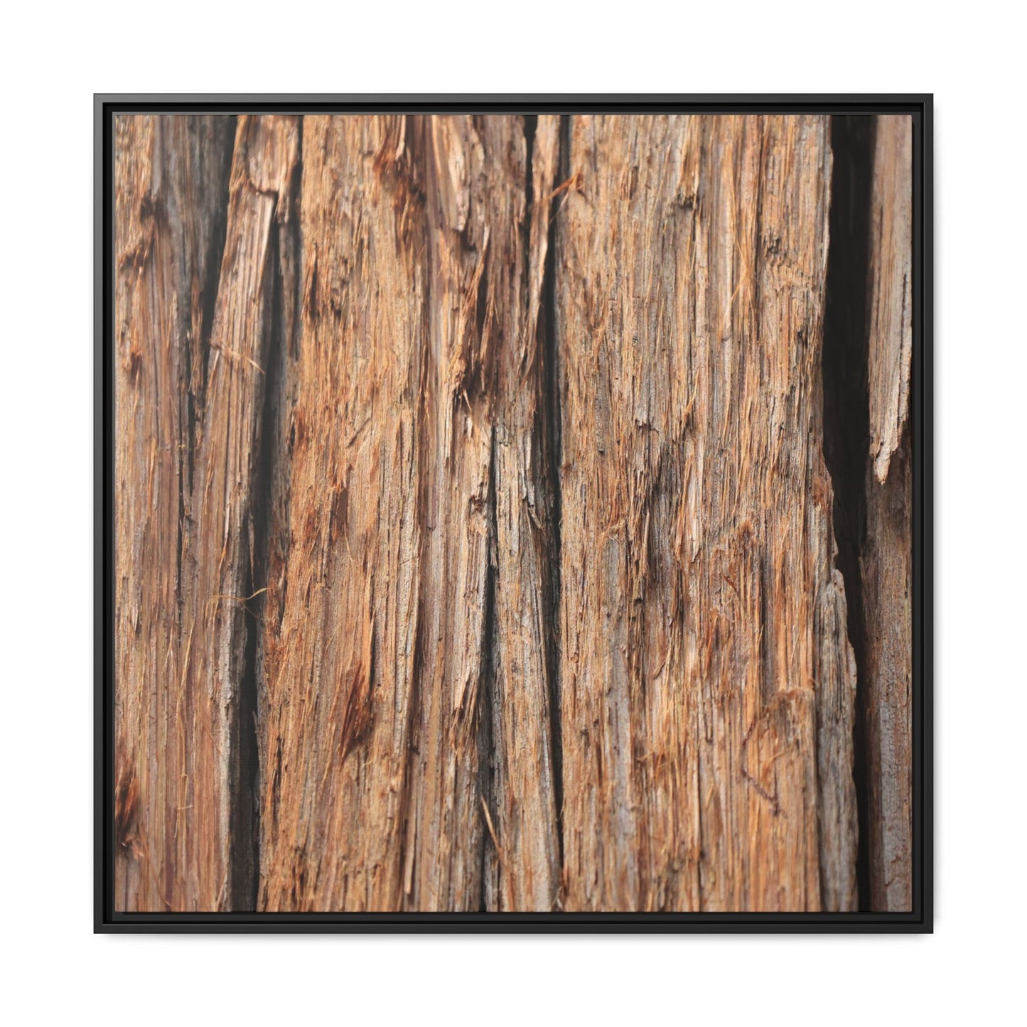 Timber Echoes - Unique Stretched Canvas Wall Art