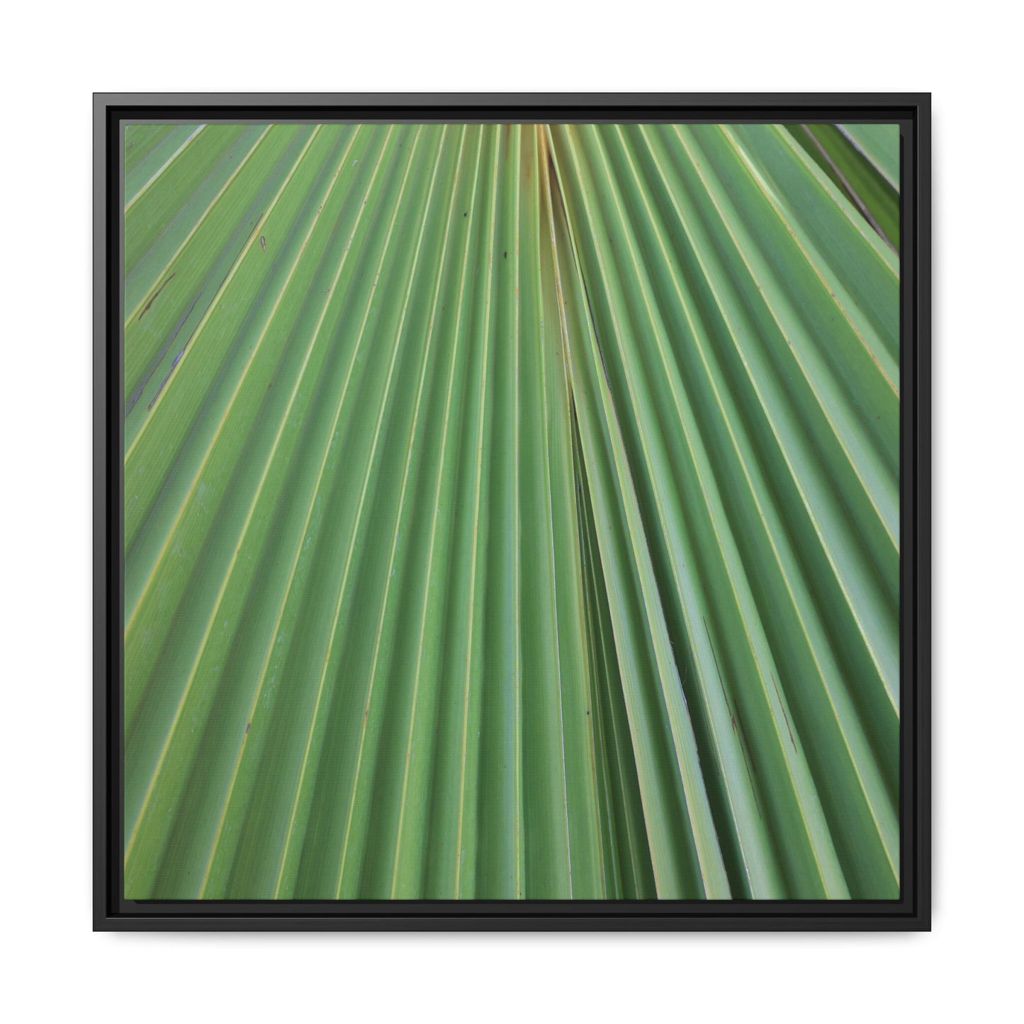 Verdant Veins - Unique Stretched Canvas Wall Art
