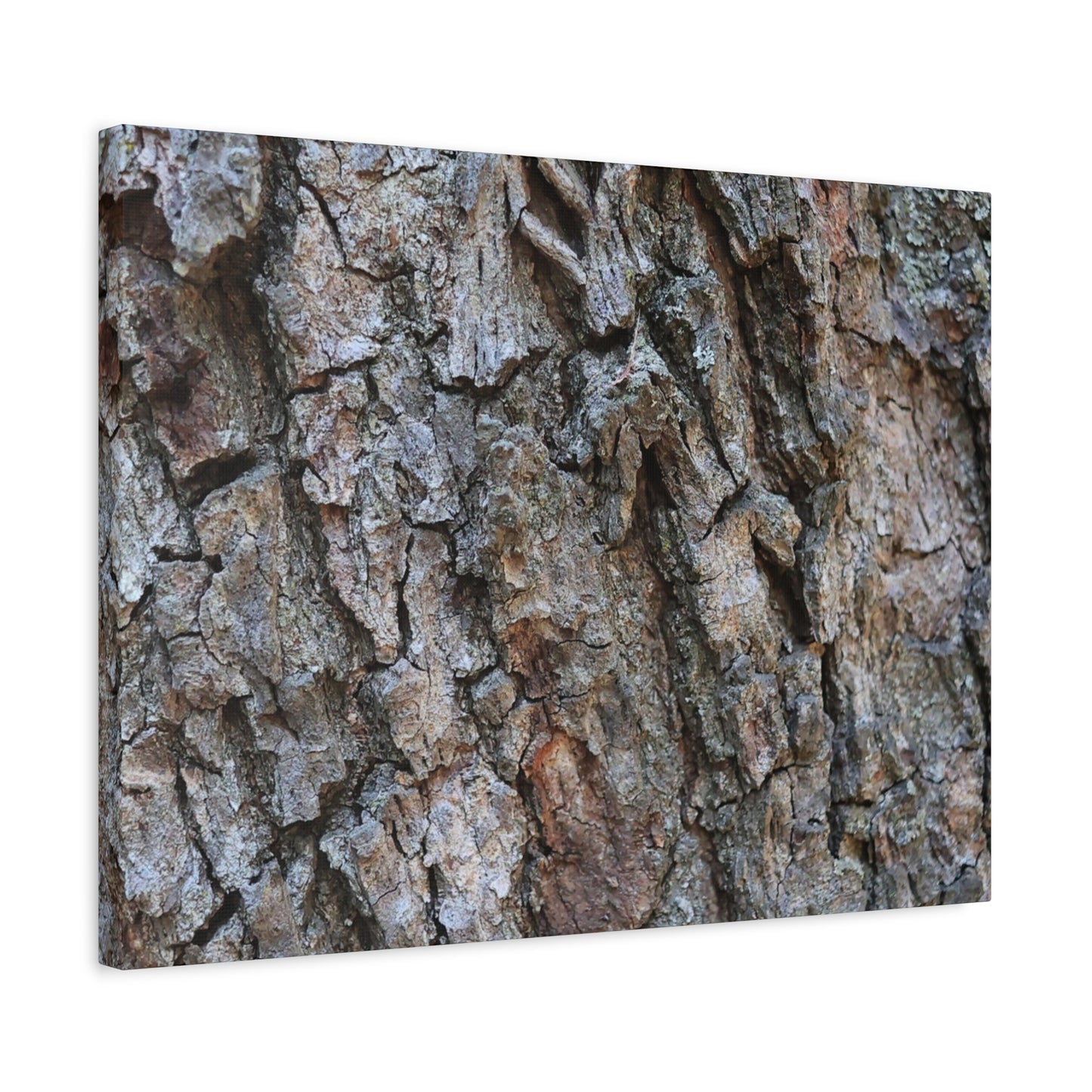 Rugged Canvas - Unique Frameless Canvas Wall Art