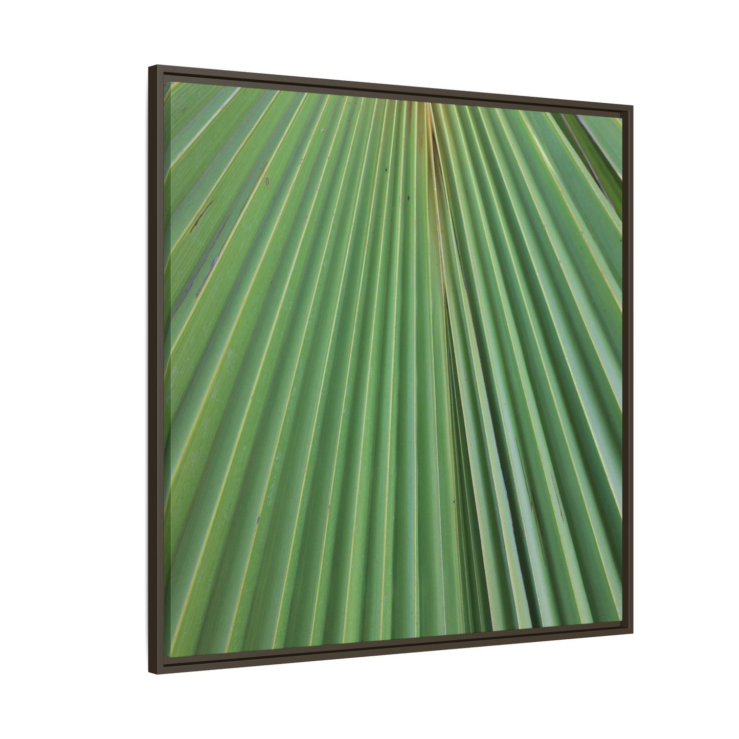 Verdant Veins - Unique Stretched Canvas Wall Art