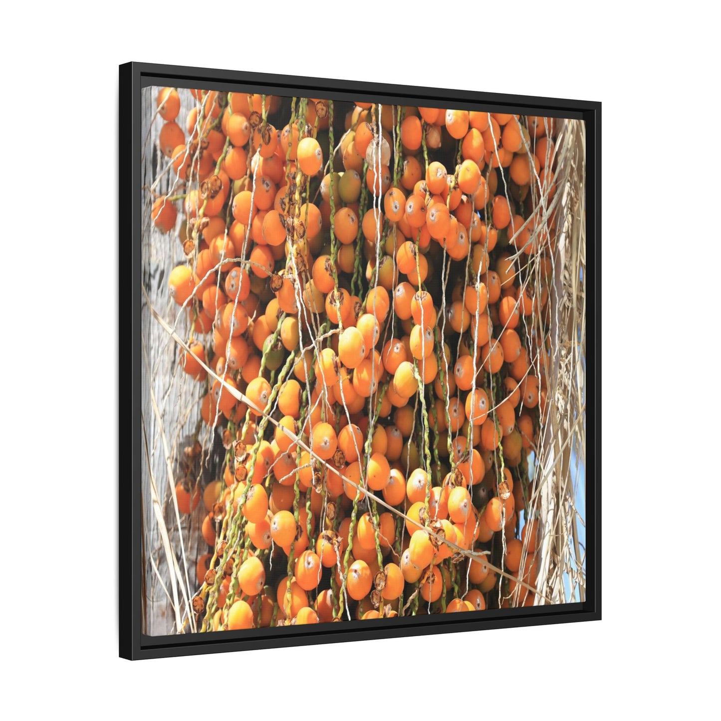 Clusters of Sunlight - Unique Canvas Wall Art
