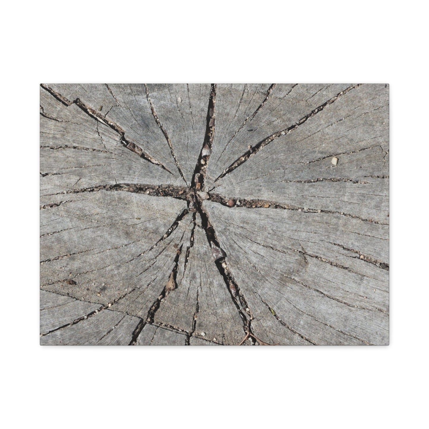 Cracked Chronicle - Unique Frameless Canvas Wall Art