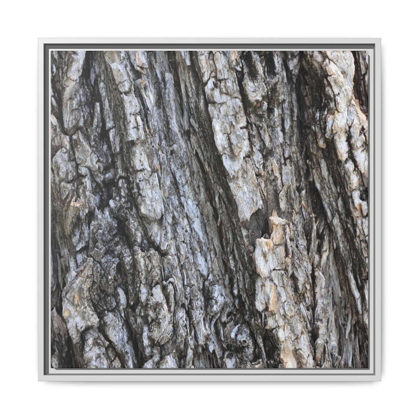 Twisted Textures - Unique Stretched Canvas Wall Art