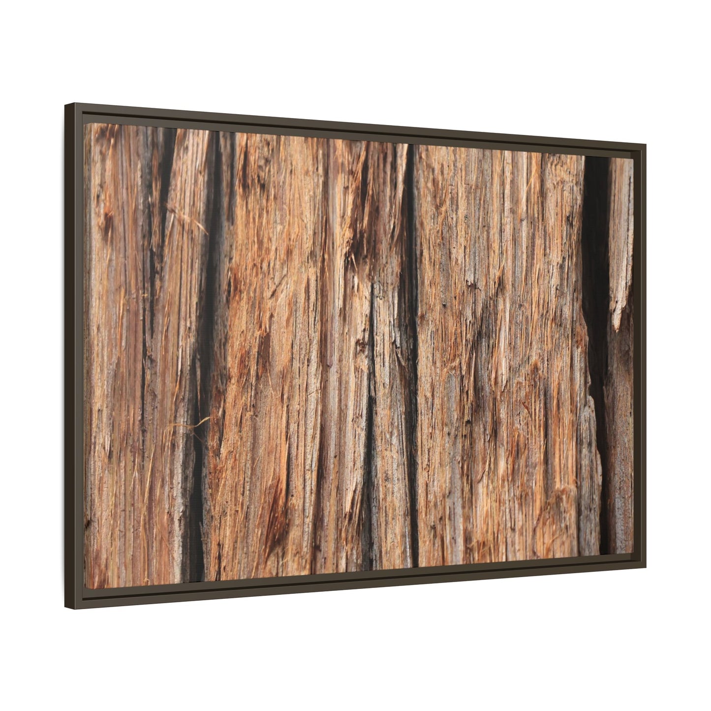 Timber Echoes - Unique Stretched Canvas Wall Art