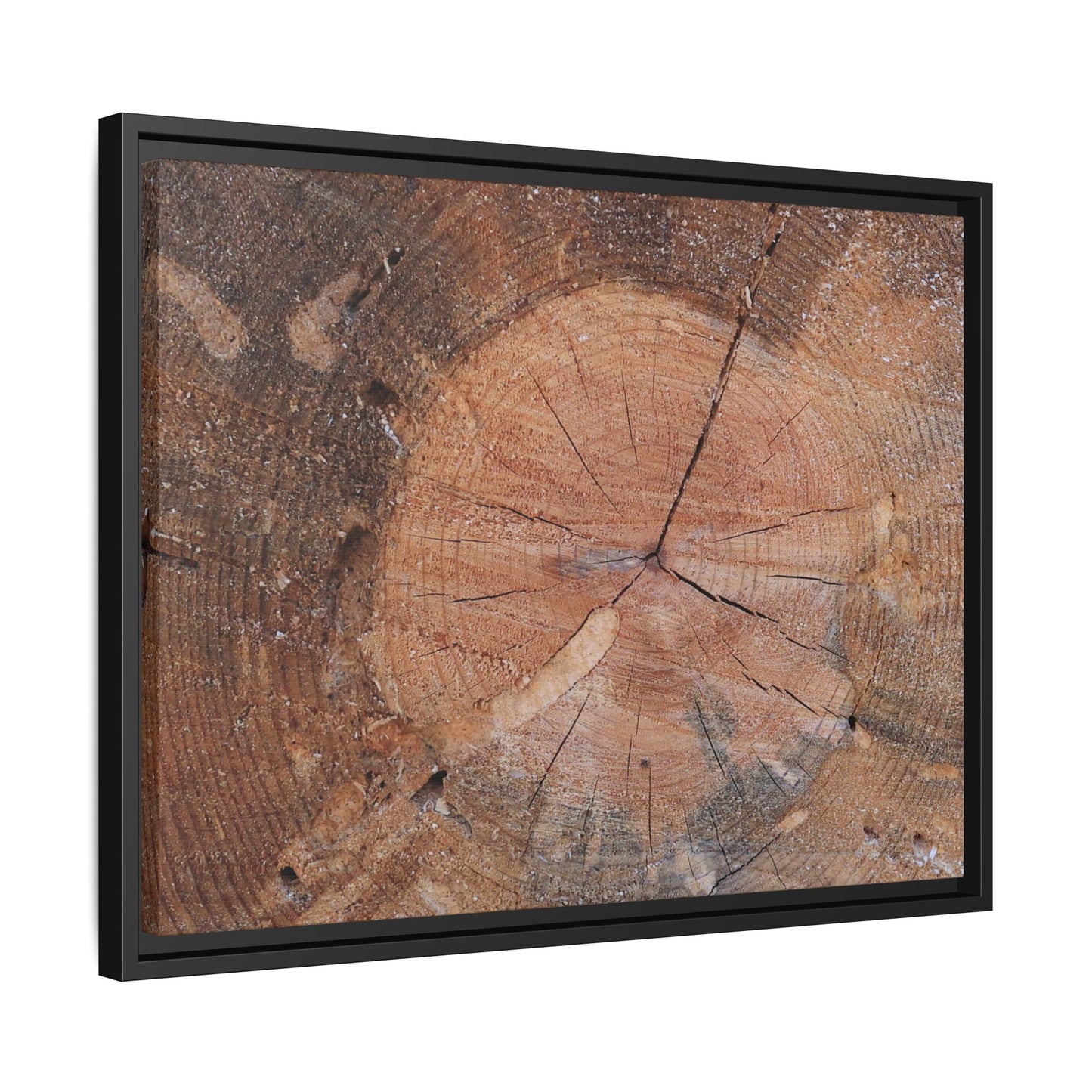 Concentric Memories - Unique Stretched Canvas Wall Art