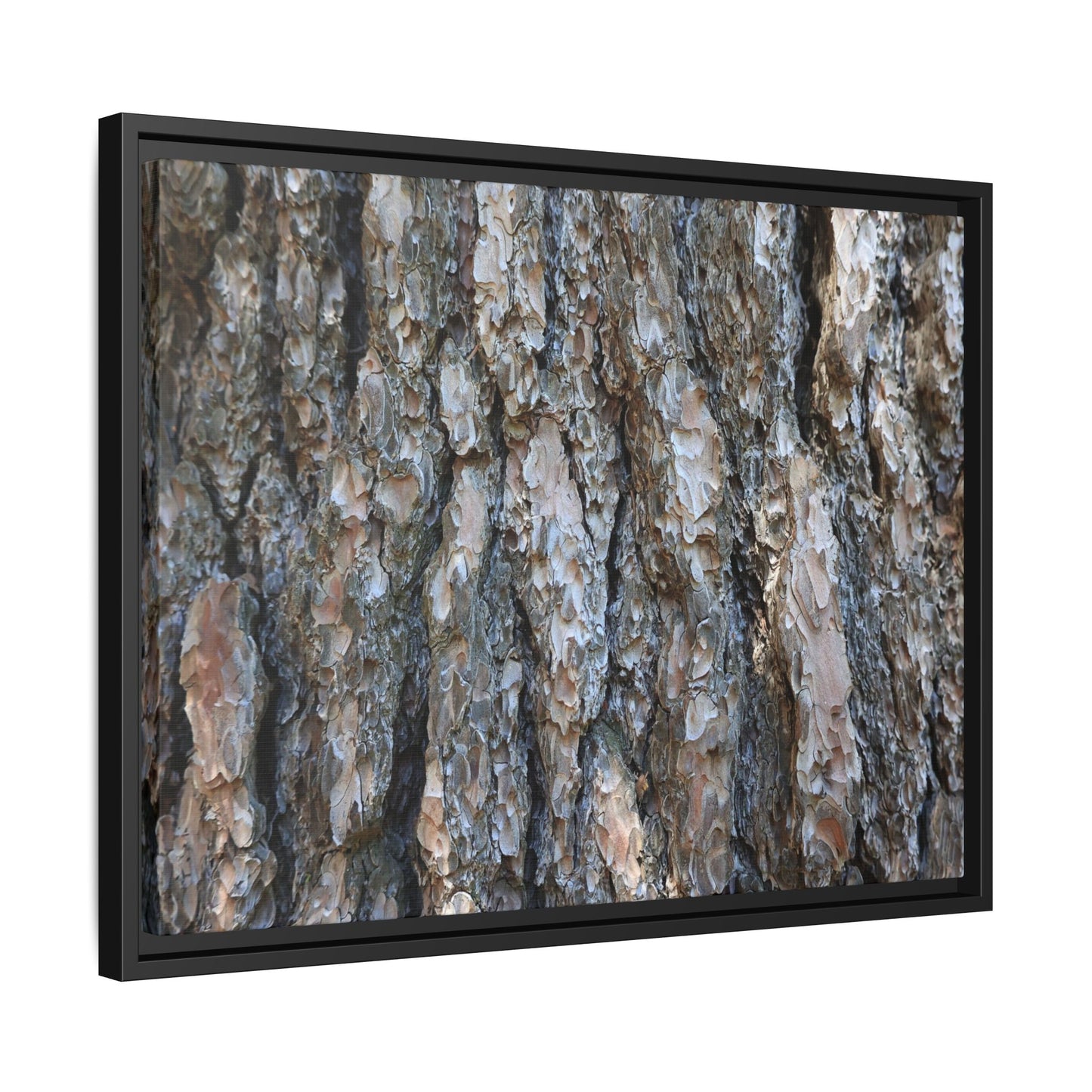 Bark Whispers - Unique Stretched Canvas Wall Art
